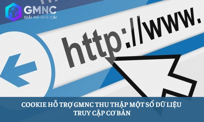Cookie hỗ trợ GMNC thu thập một số dữ liệu truy cập cơ bản 